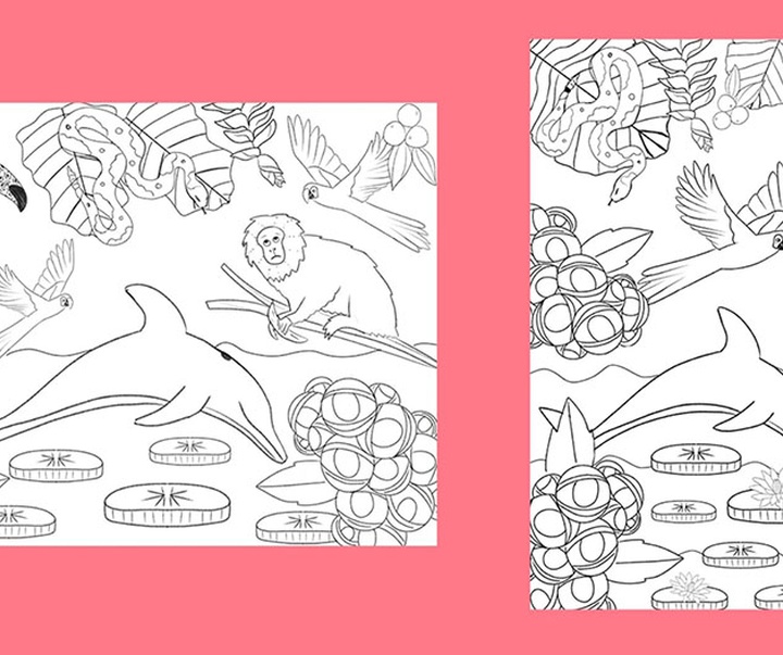 گالری تصویرسازی های باربارا دانتاس از برزیل