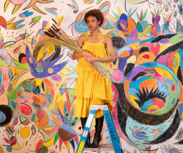 گالری تصویرسازی‌های تادسکیا از برزیل