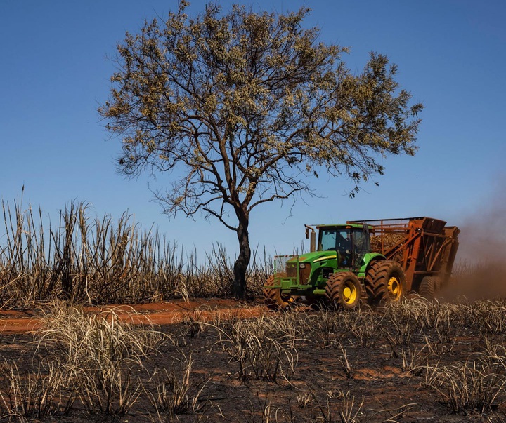 گالری آثار عکاسی ویکتور موریاما از برزیل