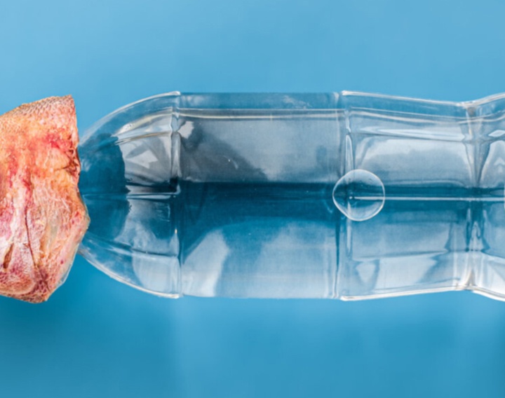 گالری عکس‌های وولف سیلوری از اتریش