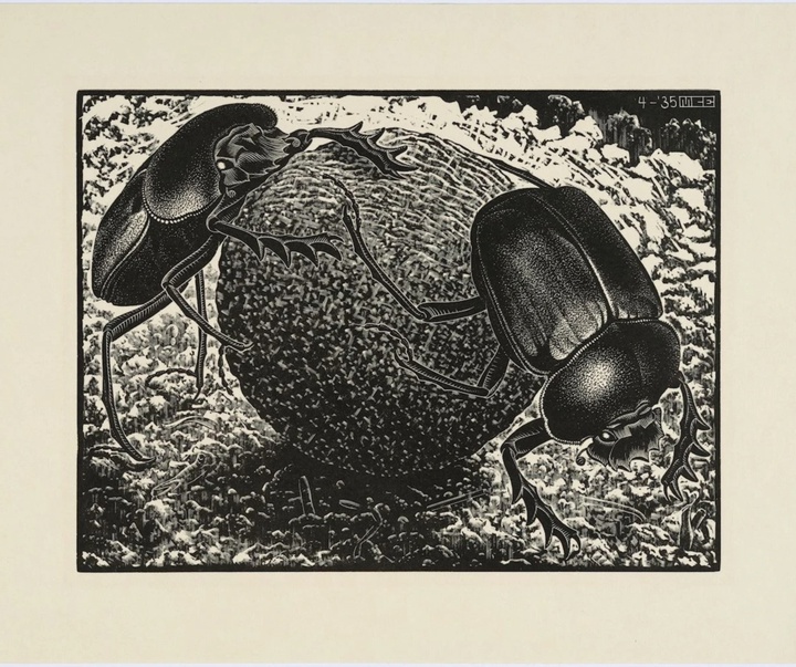 گالری آثار گرافیک موریس کورنلیس اشر از هلند