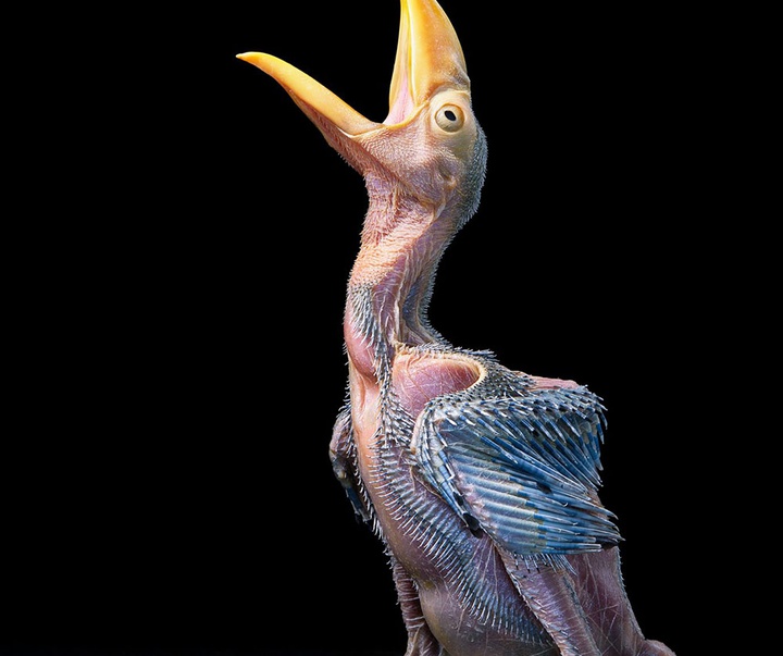 گالری عکس‌های خلاقانه تیم فلچ از بریتانیا