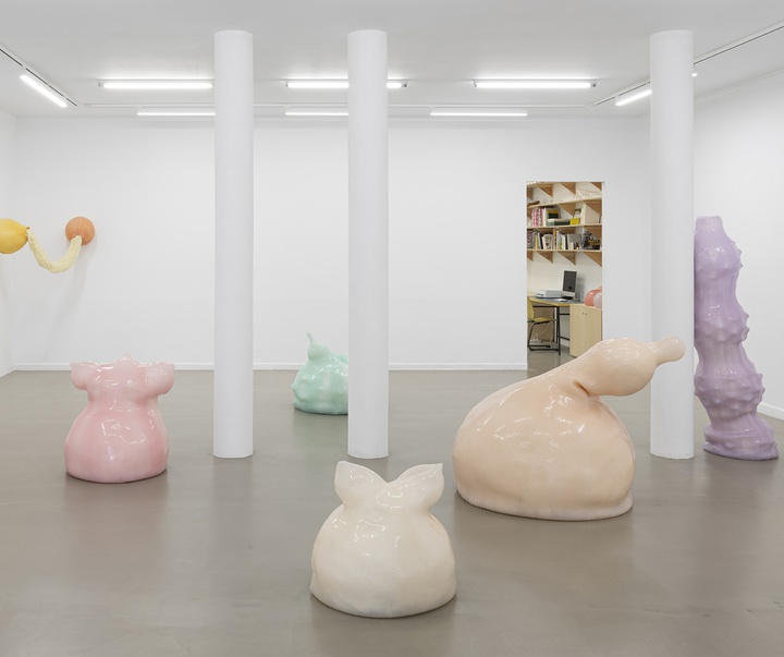 گالری آثر چیدمان و حجم اوا فابرگاس از اسپانیا