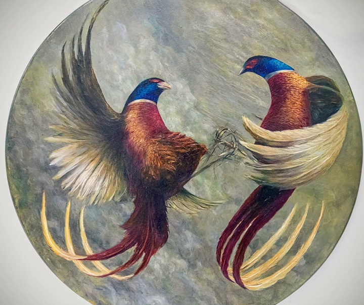 گالری نقاشی‌های لولا ماری از آرژانتین