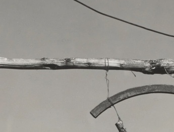 گالری عکسهای ادوارد وستون از آمریکا