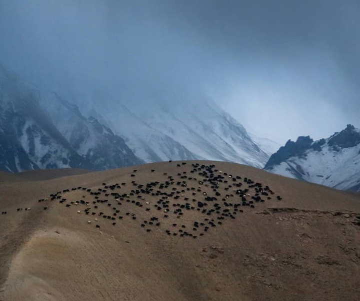 گالری آثار عکاسی جعفر رحیمی از افغانستان