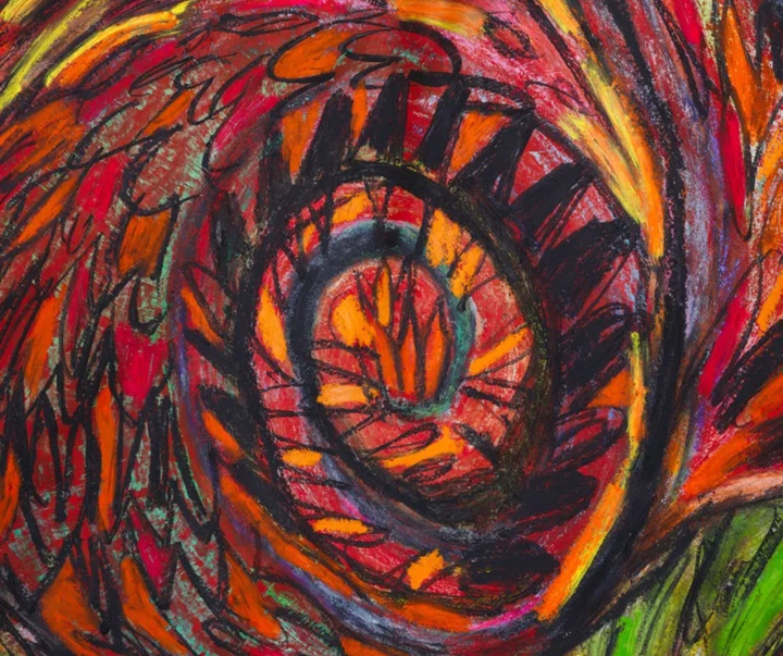 گالری تصویرسازی‌های تادسکیا از برزیل