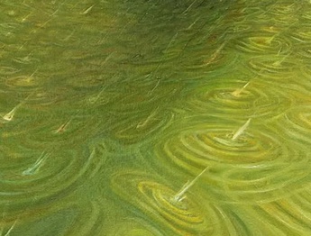 گالری نقاشی‌های لولا ماری از آرژانتین