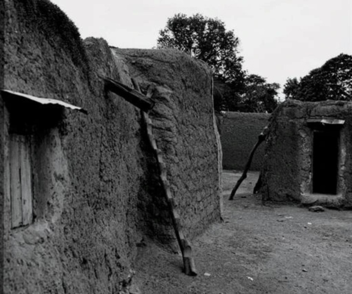 گالری آثار عکاسی کری می ویمز از آمریکا