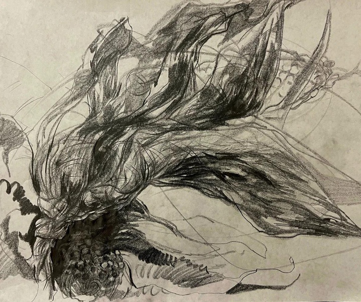 گالری طراحی های کیمیا پاکار از ایران