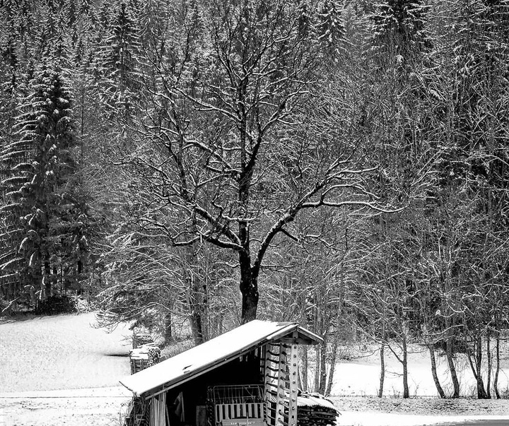 گالری منتخبی از آثار عکاسی هنرمندان برزیلی