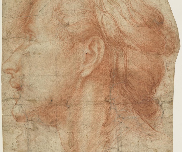 andrea del sarto