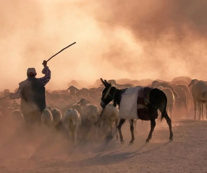 گالری آثار عکس مصطفی شهباز از ترکیه