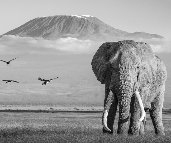 گالری عکس های جیمز لوین از انگلیس