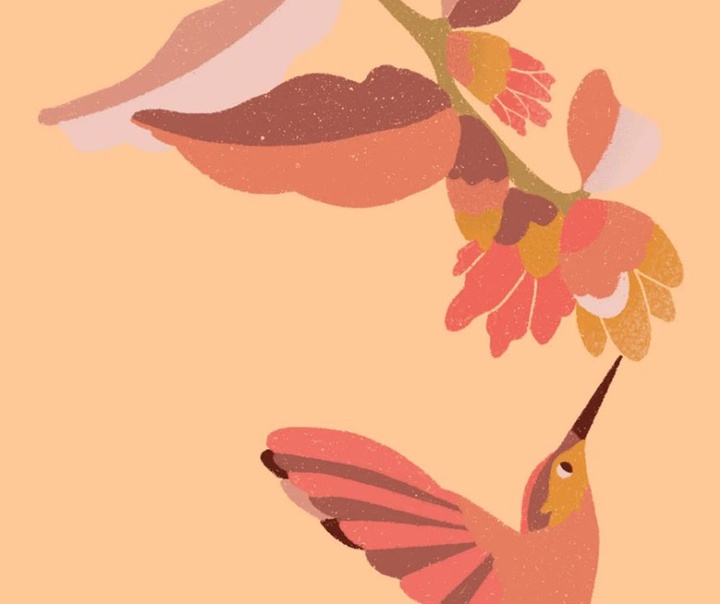 باربارا دانتاس