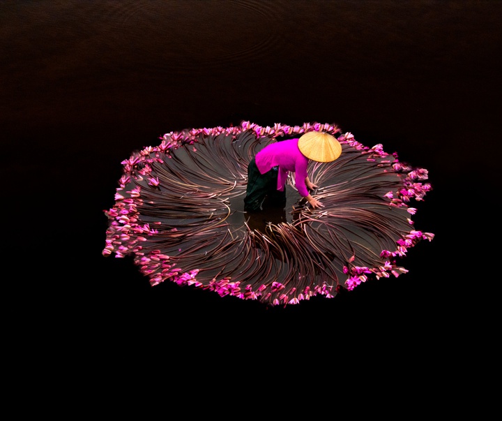 گالری آثار عکاسی جیم زاکرمن از برزیل - قسمت سوم