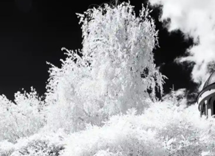 گالری آثار عکاسی دن لاوریچ از رومانی