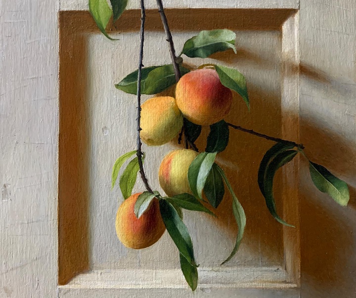 گالری آثار نقاشی و طراحی کارولین نلسون