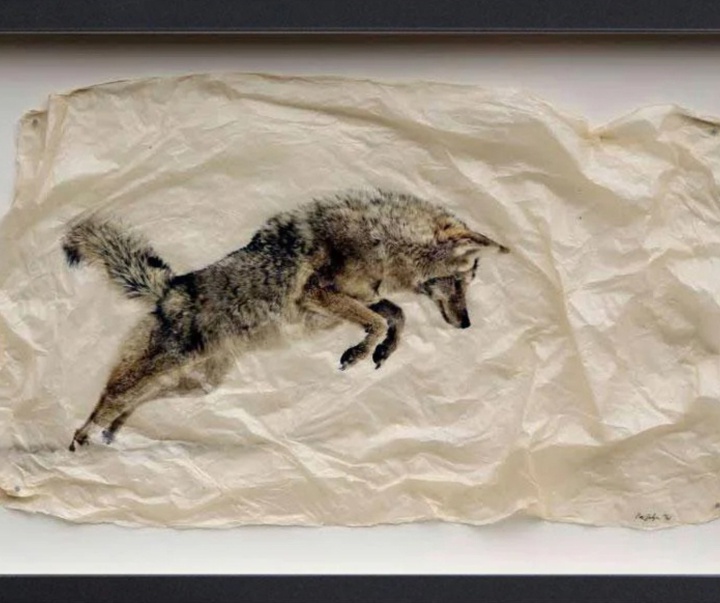 گالری نقاشی‌های پیت زالوزک از آمریکا