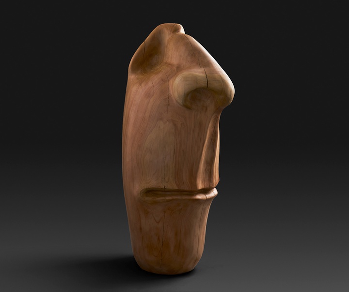 گالری آثار حجم آندرس آگیره از اکوادور