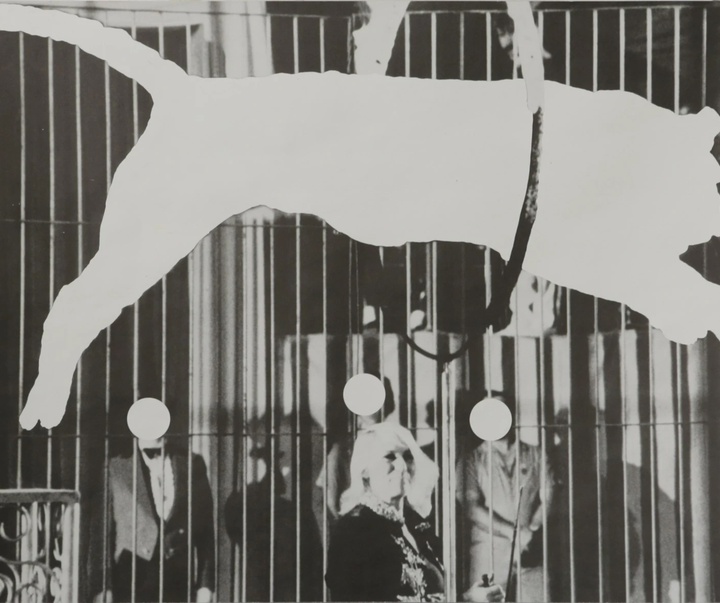 گالری آثار عکاسی جان بالدساری از آمریکا