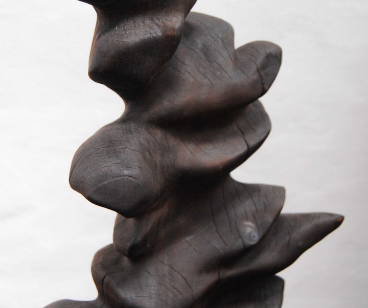 گالری آثار حجم آندرس آگیره از اکوادور