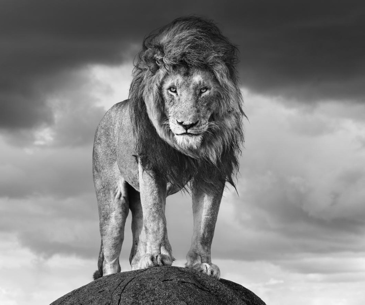 گالری عکس های جیمز لوین از انگلیس