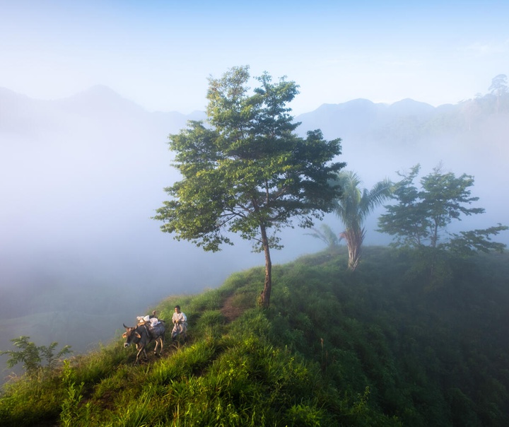 نیکولاس کاسترمنز