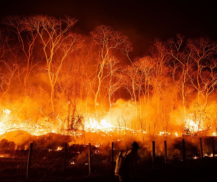 گالری آثار عکاسی لالو د آلمیدا از برزیل - قسمت اول