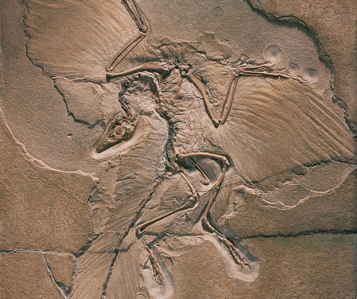 گالری عکس‌های خلاقانه تیم فلچ از بریتانیا