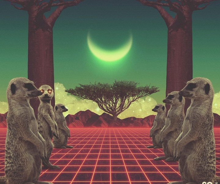 گالری آثار طراحی گرافیک جو استینگ از برزیل