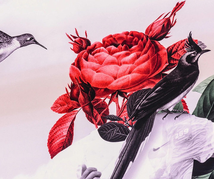 گالری تصویرسازی‌های گیرمو فلورس پاچکو از مکزیک