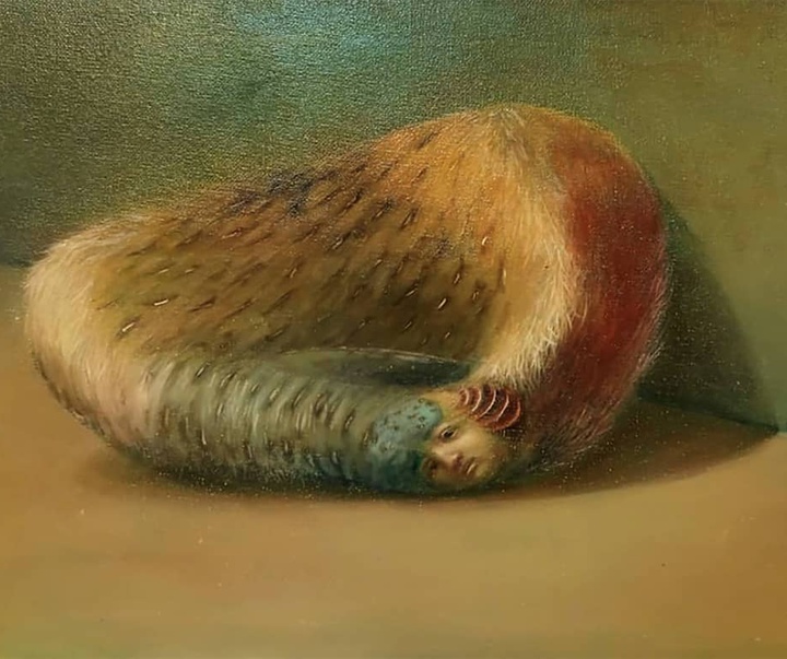 گالری آثار تصویرسازی نسیم داوری از ایران
