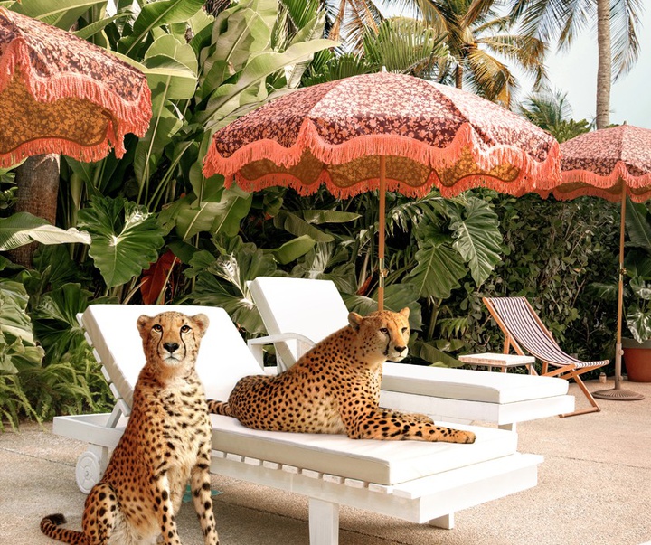 گالری آثار عکاسی پاول فوئنتس از بریتانیا