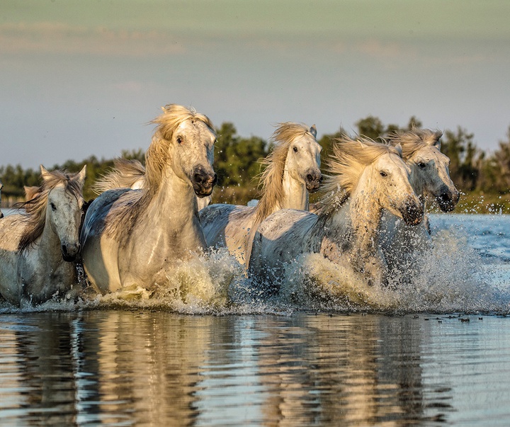 گالری آثار عکاسی جیم زاکرمن از برزیل - قسمت دوم