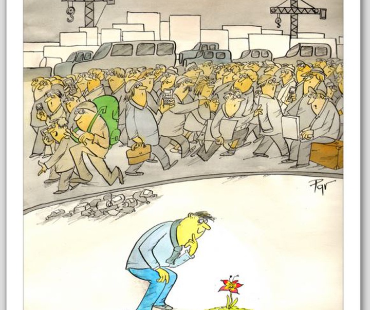 گالری کارتون‌های ولادیمیر پاولیک از اسلواکی