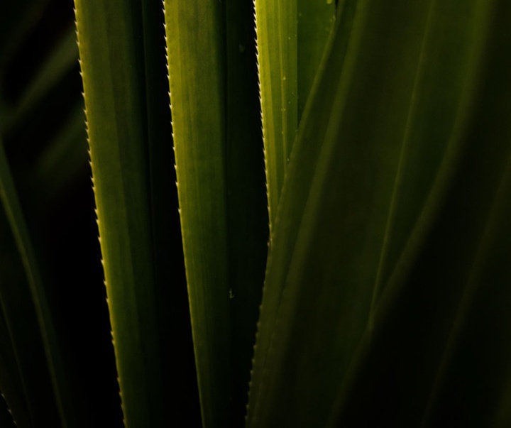 گالری منتخبی از آثار عکاسی هنرمندان برزیلی