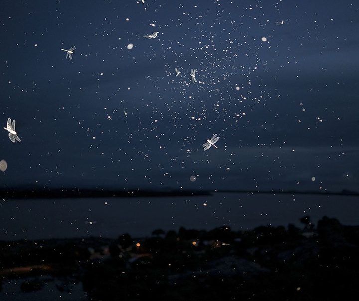 گالری آثار عکاسی خوانیتا اسکوبار از کلمبیا