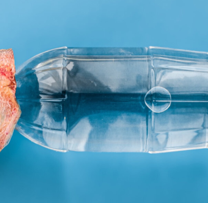 گالری عکس‌های وولف سیلوری از اتریش