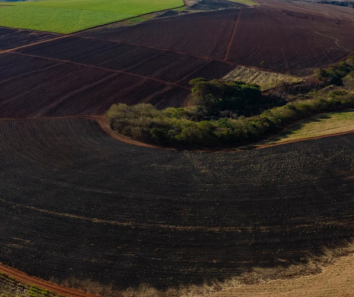 گالری آثار عکاسی ویکتور موریاما از برزیل