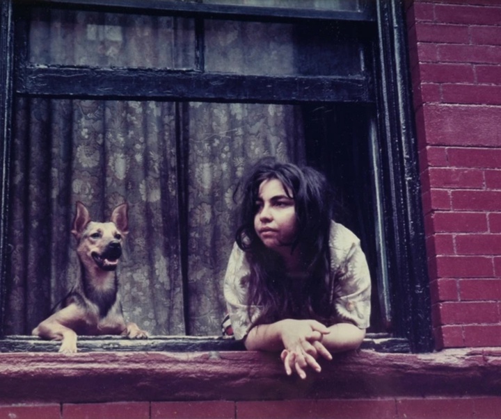 گالری عکس‌های هلن لویت از آمریکا