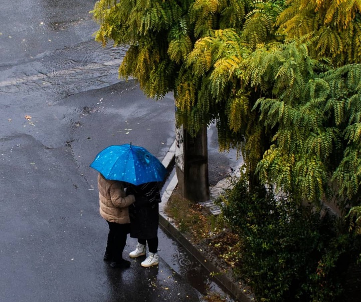 گالری عکس های ارغوان حاذق از ایران