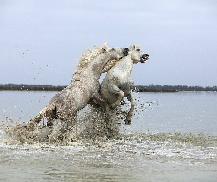 گالری آثار عکاسی جیم زاکرمن از برزیل - قسمت دوم