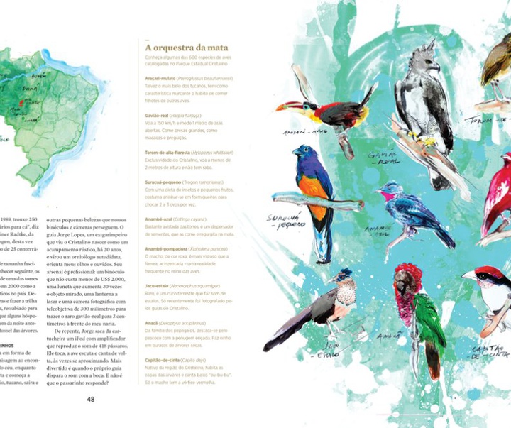 گالری آثار تصویرسازی زی اوتاویو از برزیل - قسمت اول