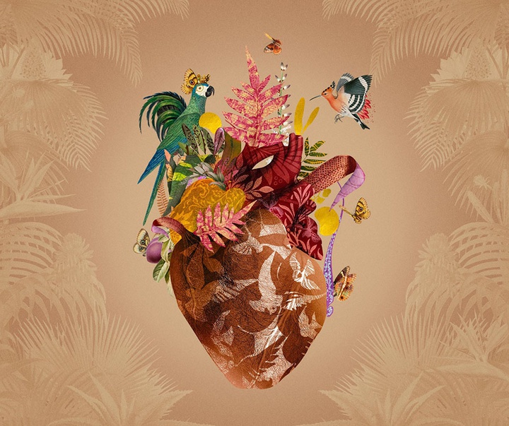 گالری تصویرسازی‌های گیرمو فلورس پاچکو از مکزیک