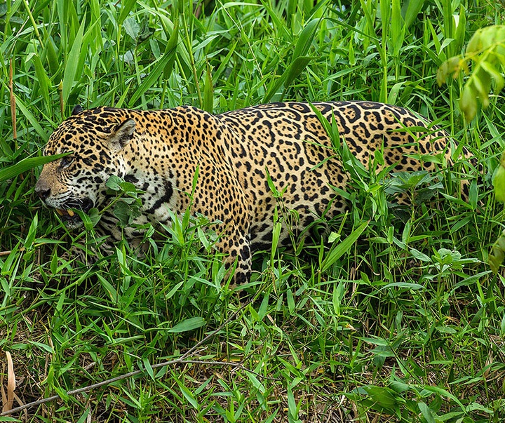 گالری آثار عکاسی جیم زاکرمن از برزیل - قسمت اول