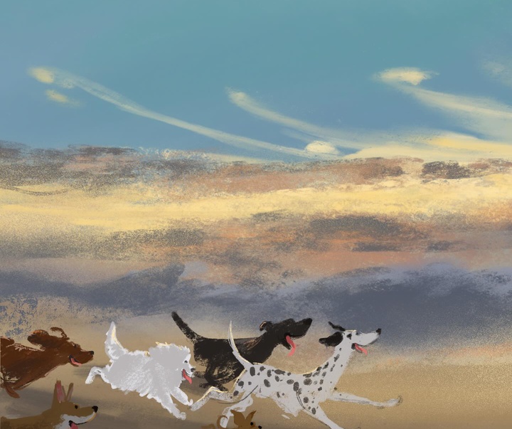 گالری تصویرسازی های جنی بلومفیلد از انگلیس