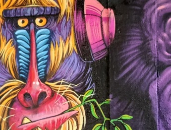 گالری آثار کارتون و کاریکاتور لاتراش یاسین از فرانسه