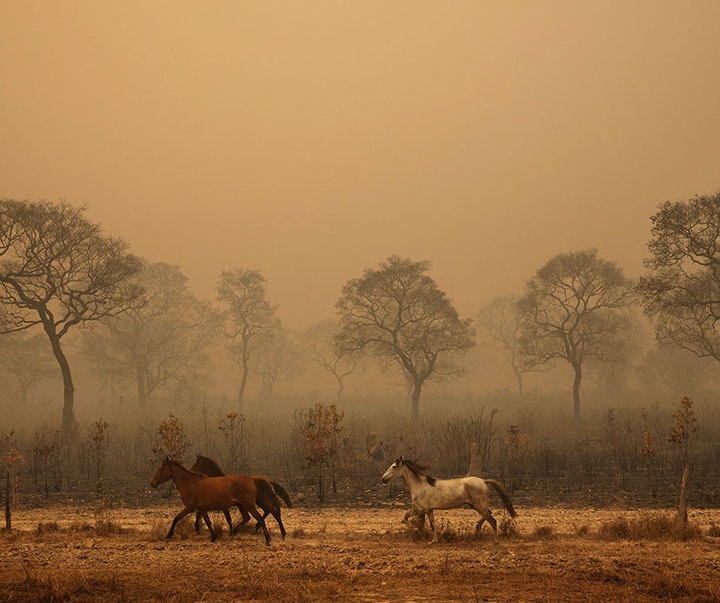 گالری آثار عکاسی لالو د آلمیدا از برزیل - قسمت اول