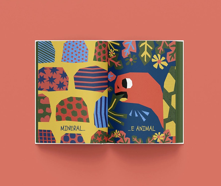 باربارا دانتاس